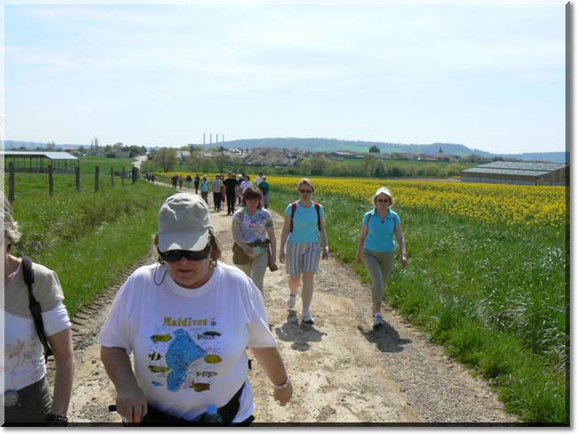 2008-04-26-ATTON-MARCHE DU COEUR-010.jpg